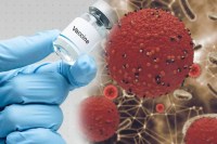 MP Measles outbreak