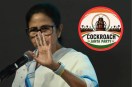 Mamata Banerjee Support Cockroach Janta Party