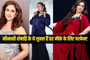Meenakshi Seshadri. Meenakshi look book