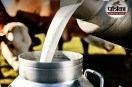 Milk prices rise in Ratlam news