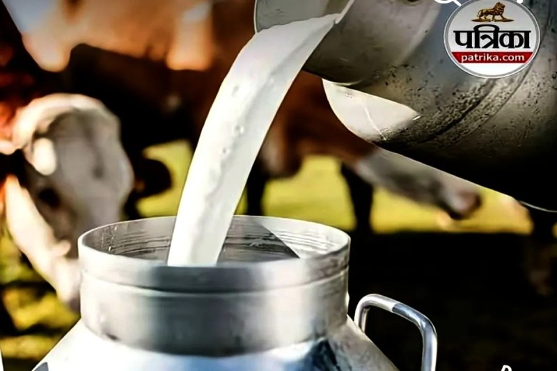 Milk prices rise in Ratlam news