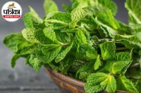Mint health benefits