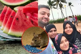 Mumbai Family Watermelon Death Mystery