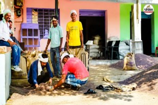 Mandi Bhav Mustard seed price reache Rs 7,700 per quintal now Rajasthan Oil rate increase