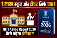 Indian School System