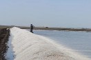 Salt production