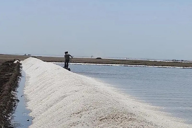 Salt production