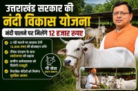 Nandi Vikas Yojana
