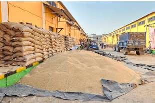 Date extended, slot closed... Thousands of farmers left out of support price