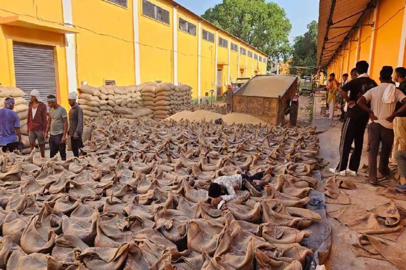 buy wheat