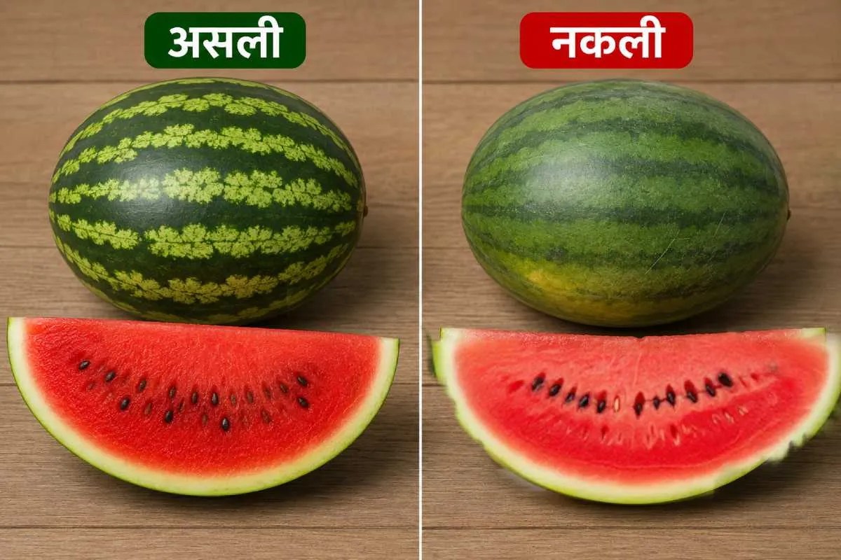 Difference Between Real and Fake Watermelons