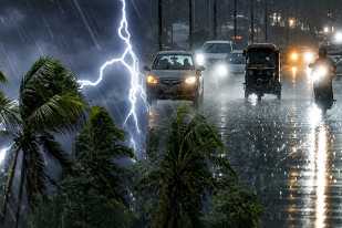 mp monsoon update 2026 मानसून की असल स्थिति