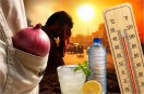 Onion Heatstroke Myth