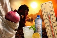Onion Heatstroke Myth
