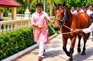 raja bhaiya new horse magadhira cost more than 2 crore know all about pratapgarh up news