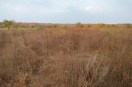 Ramgarh Vishdhari Tiger Reserve