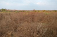 Ramgarh Vishdhari Tiger Reserve