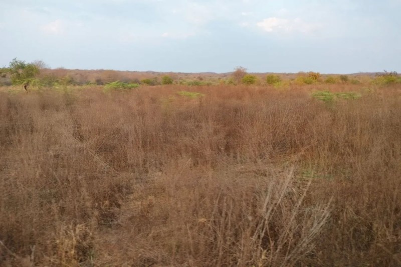 Ramgarh Vishdhari Tiger Reserve