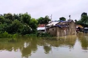 203 villages at risk of flooding before Monsoon Arrival MP News