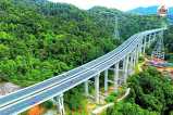Sariska Elevated Road news