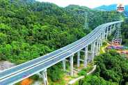 Sariska Elevated Road news