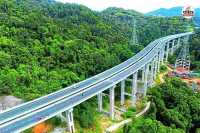 Sariska Elevated Road news