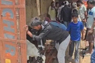 Kaushambi truck Accident goat loot