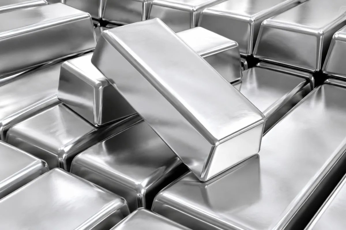 Rule On Silver Import