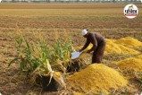Sirohi Farmer Scheme