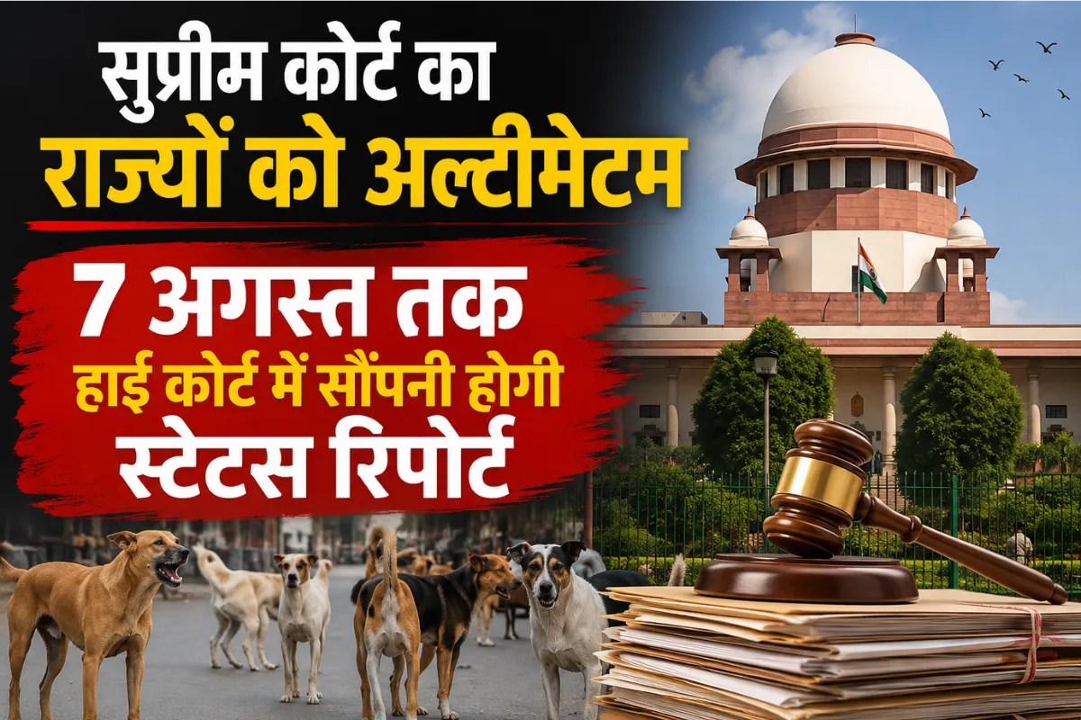 Supreme Court on Stray Dogs