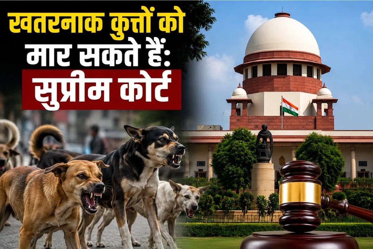 Supreme Court Verdict on Stray Dogs