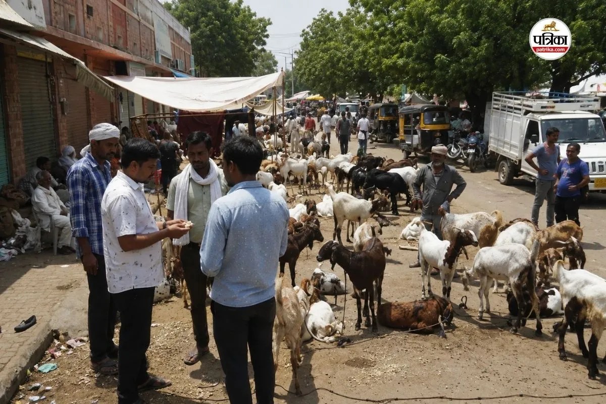 Surat Fake Currency Goat Market Rajasthan Trader Bhawarlal Fraud Arrest Updates