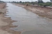 Suratgarh canal water
