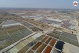 Talchapar Salt Industries