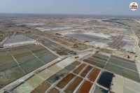 Talchapar Salt Industries