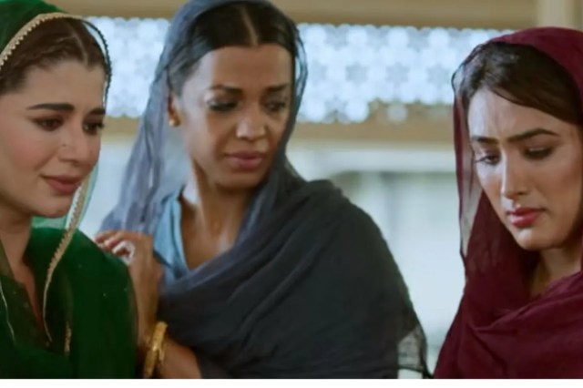 Teesari Begum