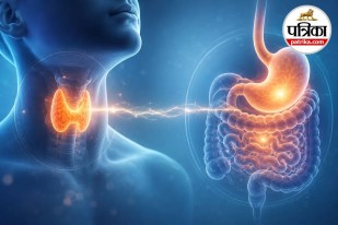 Gut Thyroid Axis, Thyroid and Constipation connection, Acidity and Thyroid medicine absorption,