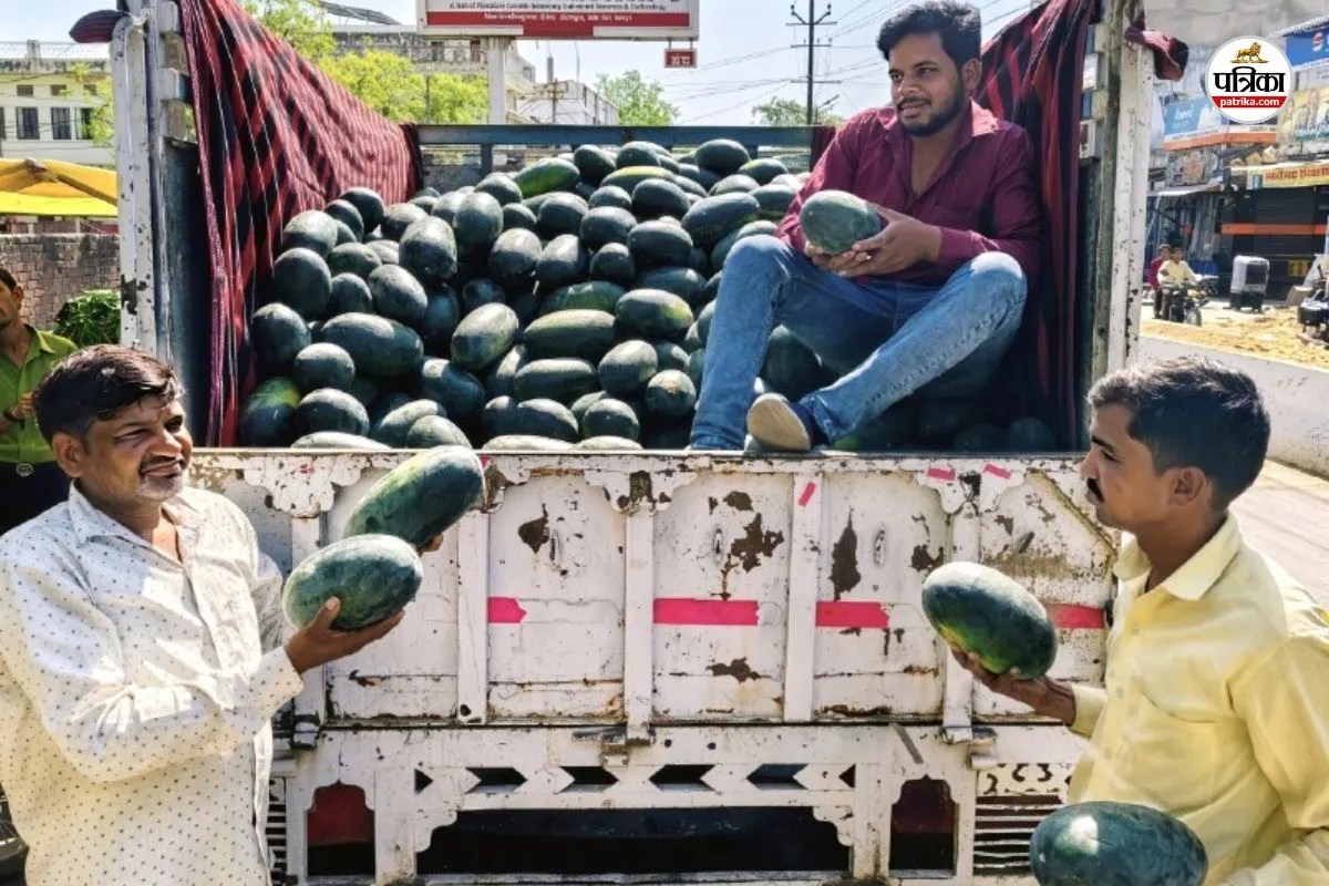 Tonk Niwai watermelons and melons bumper arrival in market but farmers disappointed