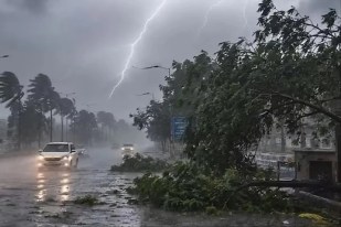 नौतपा की भीषण गर्मी के बीच बदला मौसम, बिजली गिरने और हादसों ने छीनी कई जिंदगियां  (फोटो सोर्स : भाषा WhatsApp News Group) 