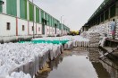 FCI rejects substandard and rain-soaked wheat, delaying farmers' payments