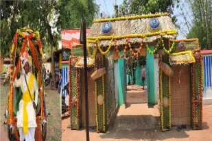 Chhattisgarh Viral Wedding