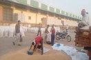 Wheat procurement completed at four committees, over one lakh quintals purchased