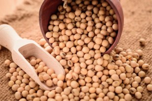 Soybean prices have risen ahead of Kharif sowing, and rising diesel prices have also added to farmers' worries