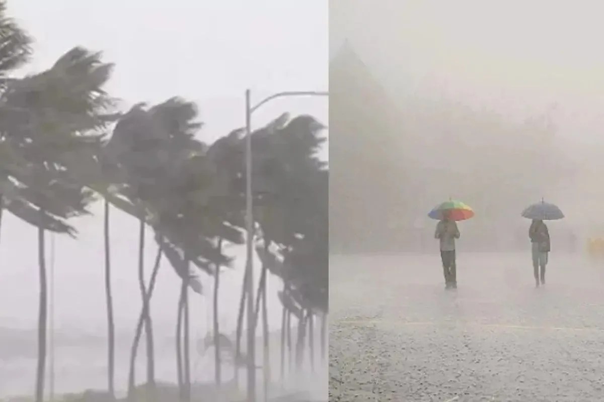 heavy rain, hindi news, IMD alert, orange alert
