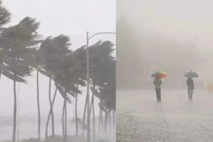 heavy rain, hindi news, IMD alert, orange alert