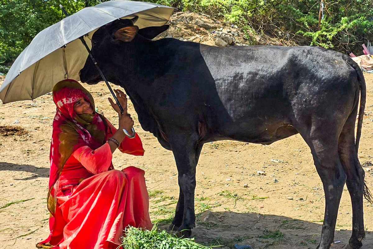 IMD issues heavy rain and thunderstorm alert for several states from May 29 to 31.