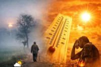 Weather