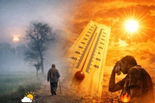 Weather