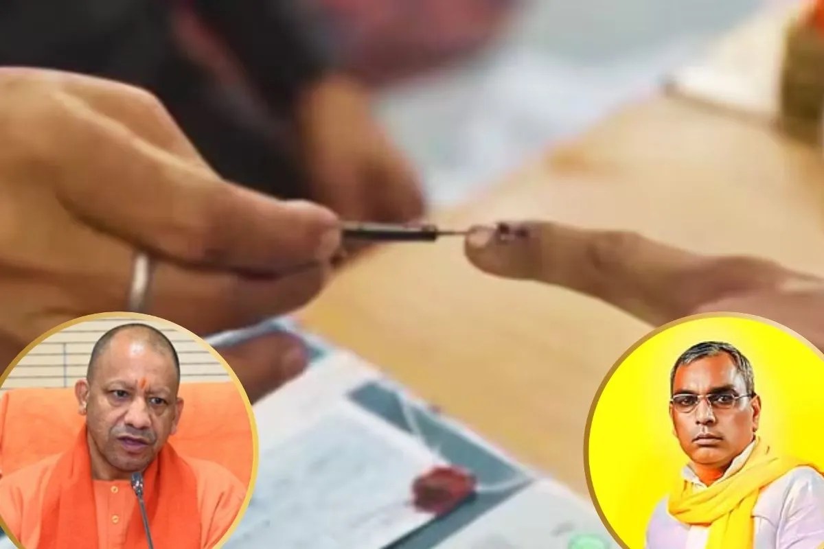 yogi
