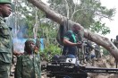 ADF terrorists